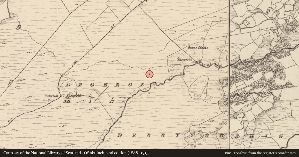 Ordnance Survey six-inch map, 2nd edition (1888–1915) covering the location of Field boundary, Dromroe, County Kerry, with a pin at the register's coordinates