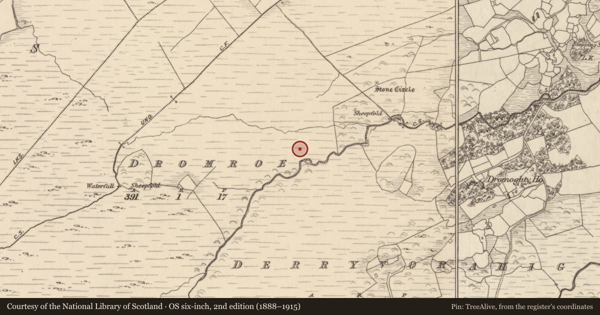 Ordnance Survey six-inch map, 2nd edition (1888–1915) covering the location of Cairn - unclassified, Dromroe, County Kerry, with a pin at the register's coordinates
