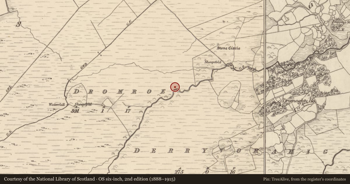 Ordnance Survey six-inch map, 2nd edition (1888–1915) covering the location of Hut site, Dromroe, County Kerry, with a pin at the register's coordinates