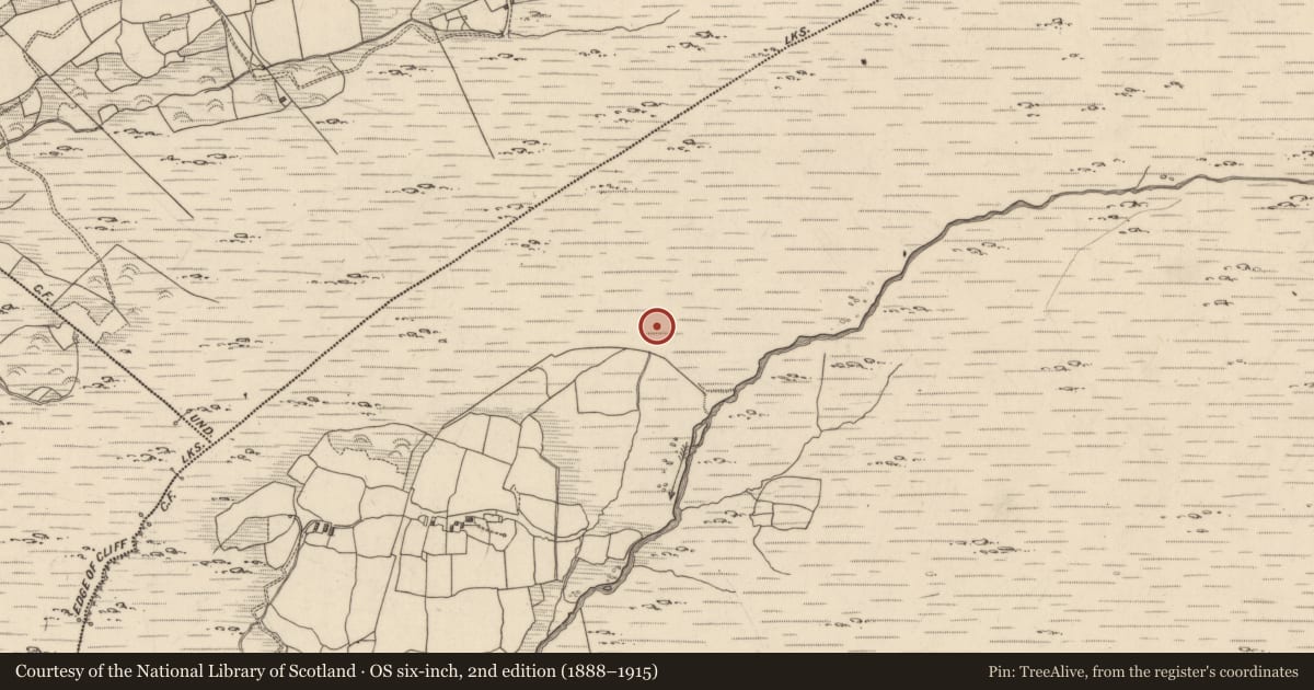 Ordnance Survey six-inch map, 2nd edition (1888–1915) covering the location of Field boundary, Maulagowna, County Kerry, with a pin at the register's coordinates