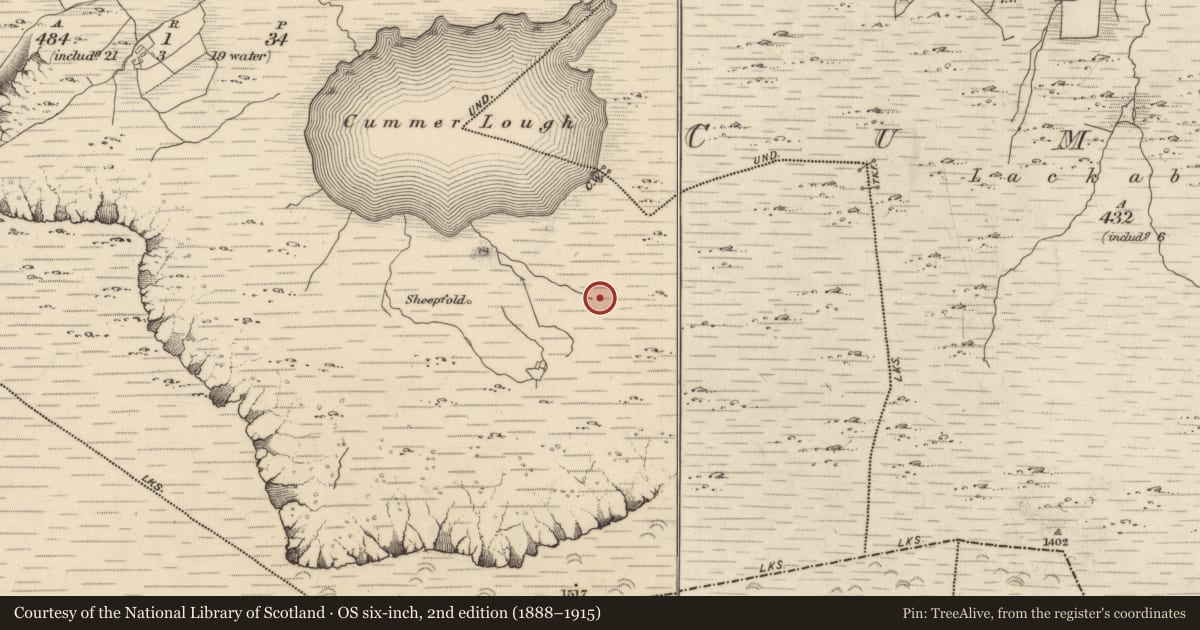Ordnance Survey six-inch map, 2nd edition (1888–1915) covering the location of Hut site, Derrysallagh, County Kerry, with a pin at the register's coordinates