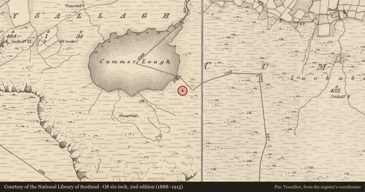 Ordnance Survey six-inch map, 2nd edition (1888–1915) covering the location of Field boundary, Derrysallagh, County Kerry, with a pin at the register's coordinates