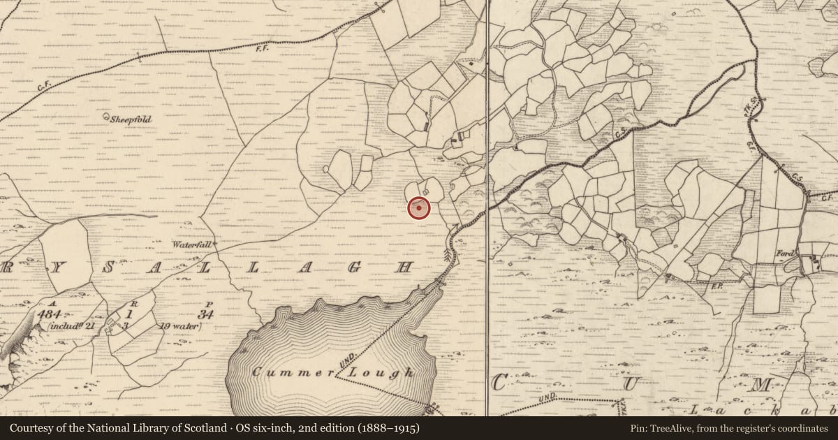 Ordnance Survey six-inch map, 2nd edition (1888–1915) covering the location of Fulacht fia, Derrysallagh, County Kerry, with a pin at the register's coordinates