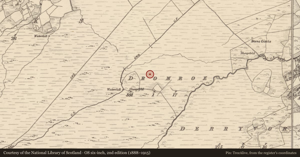 Ordnance Survey six-inch map, 2nd edition (1888–1915) covering the location of Field boundary, Dromroe, County Kerry, with a pin at the register's coordinates