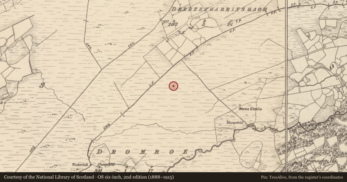 Ordnance Survey six-inch map, 2nd edition (1888–1915) covering the location of Field system, Dromroe, County Kerry, with a pin at the register's coordinates