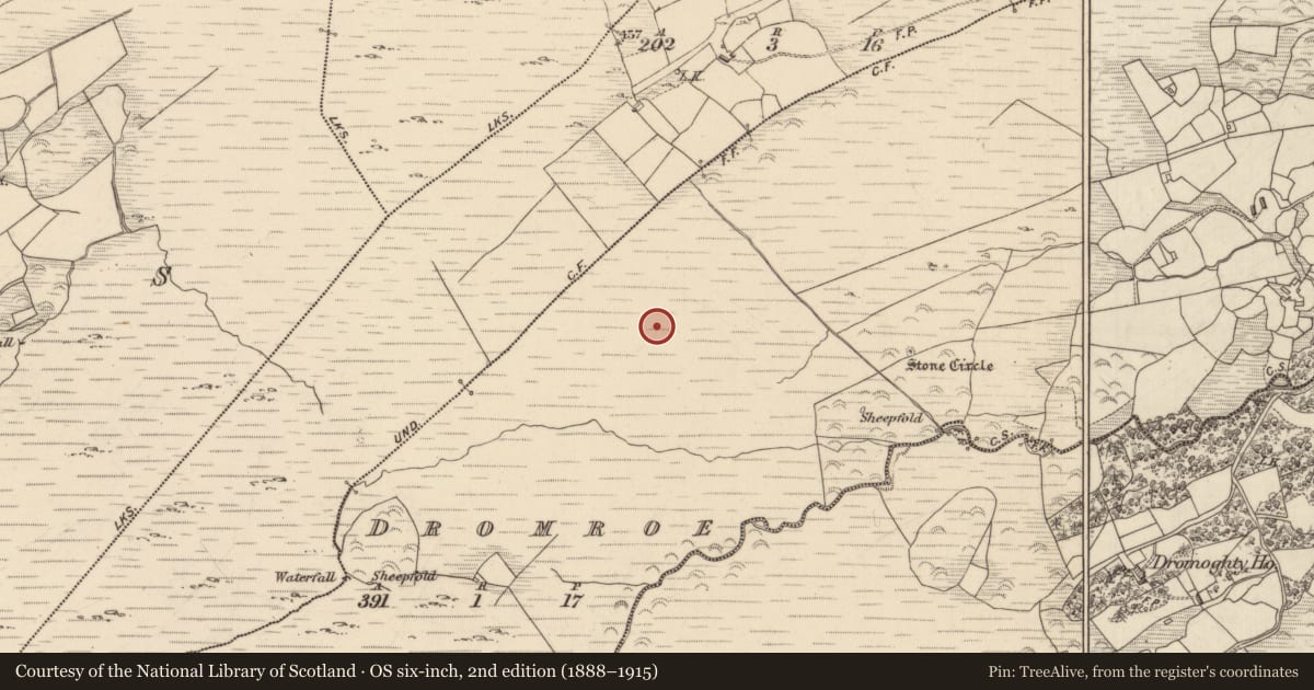 Ordnance Survey six-inch map, 2nd edition (1888–1915) covering the location of Hut site, Dromroe, County Kerry, with a pin at the register's coordinates