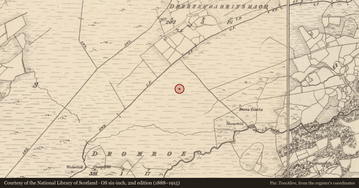 Ordnance Survey six-inch map, 2nd edition (1888–1915) covering the location of Cairn - unclassified, Dromroe, County Kerry, with a pin at the register's coordinates
