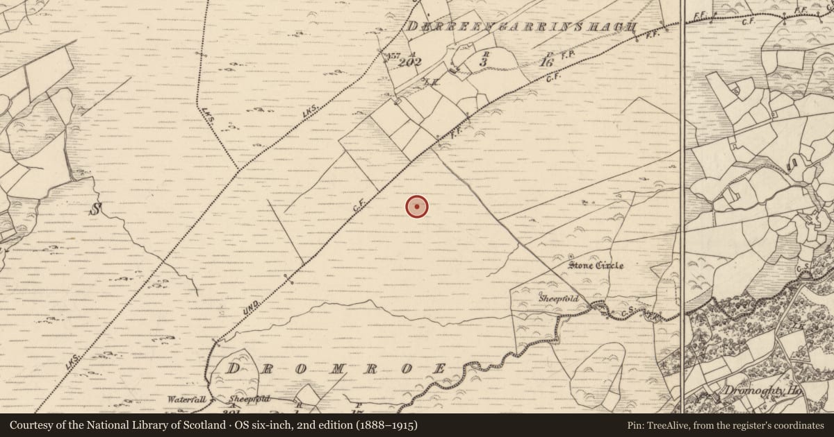 Ordnance Survey six-inch map, 2nd edition (1888–1915) covering the location of Cairn - unclassified, Dromroe, County Kerry, with a pin at the register's coordinates