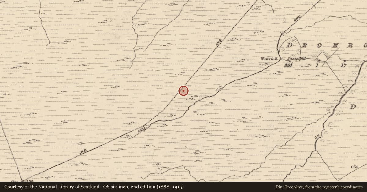 Ordnance Survey six-inch map, 2nd edition (1888–1915) covering the location of Hut site, Derreengarrinshagh, County Kerry, with a pin at the register's coordinates