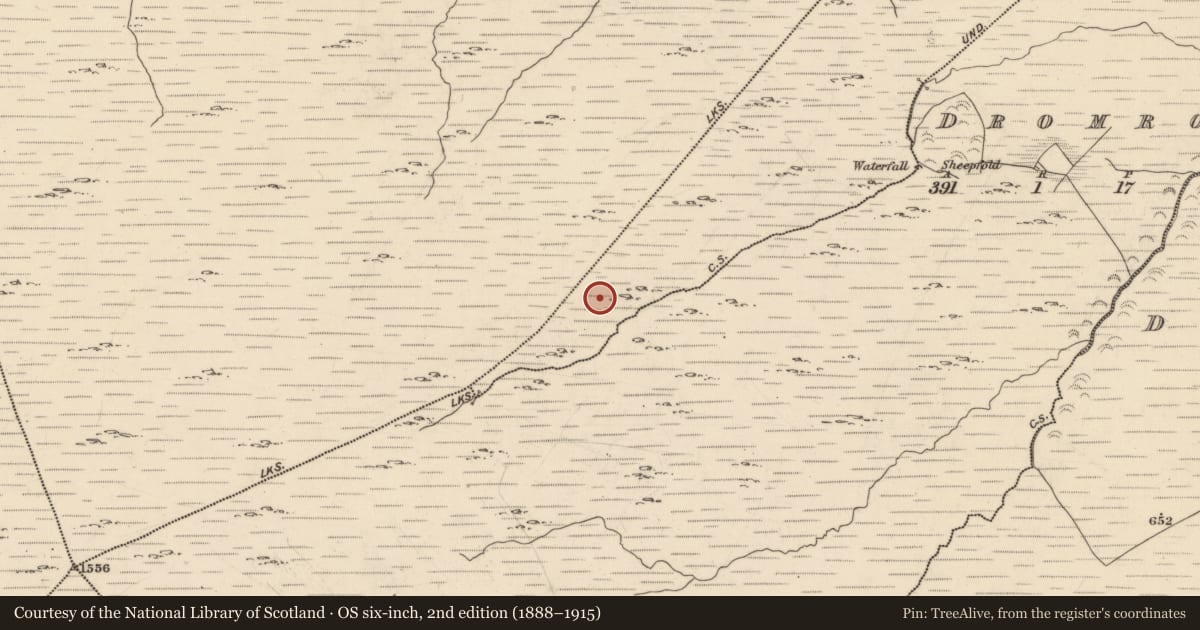 Ordnance Survey six-inch map, 2nd edition (1888–1915) covering the location of Hut site, Derreengarrinshagh, County Kerry, with a pin at the register's coordinates