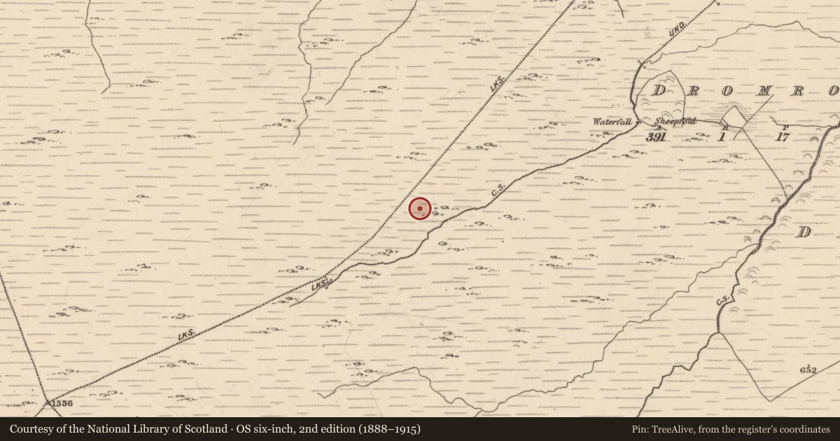 Ordnance Survey six-inch map, 2nd edition (1888–1915) covering the location of Hut site, Derreengarrinshagh, County Kerry, with a pin at the register's coordinates