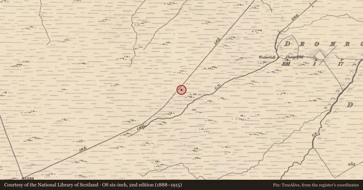 Ordnance Survey six-inch map, 2nd edition (1888–1915) covering the location of Field boundary, Derreengarrinshagh, County Kerry, with a pin at the register's coordinates