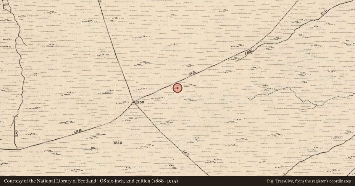 Ordnance Survey six-inch map, 2nd edition (1888–1915) covering the location of Hut site, Dromroe, County Kerry, with a pin at the register's coordinates