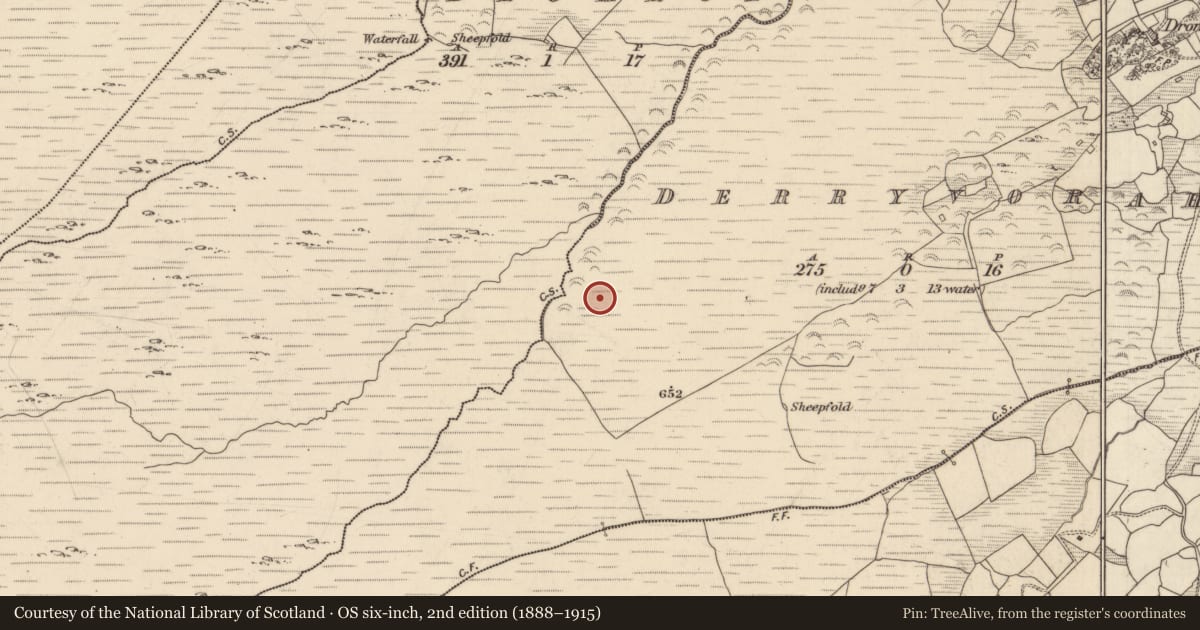 Ordnance Survey six-inch map, 2nd edition (1888–1915) covering the location of Fulacht fia, Derryvorahig, County Kerry, with a pin at the register's coordinates