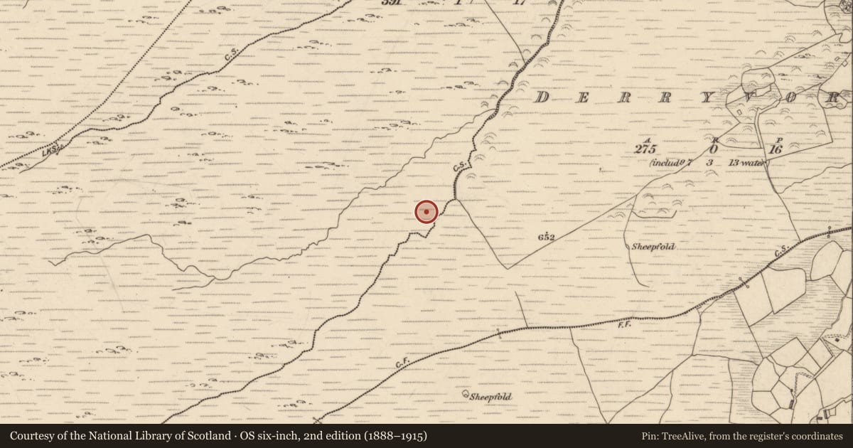 Ordnance Survey six-inch map, 2nd edition (1888–1915) covering the location of Hut site, Dromroe, County Kerry, with a pin at the register's coordinates