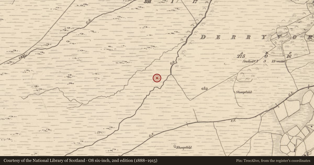 Ordnance Survey six-inch map, 2nd edition (1888–1915) covering the location of Enclosure, Dromroe, County Kerry, with a pin at the register's coordinates