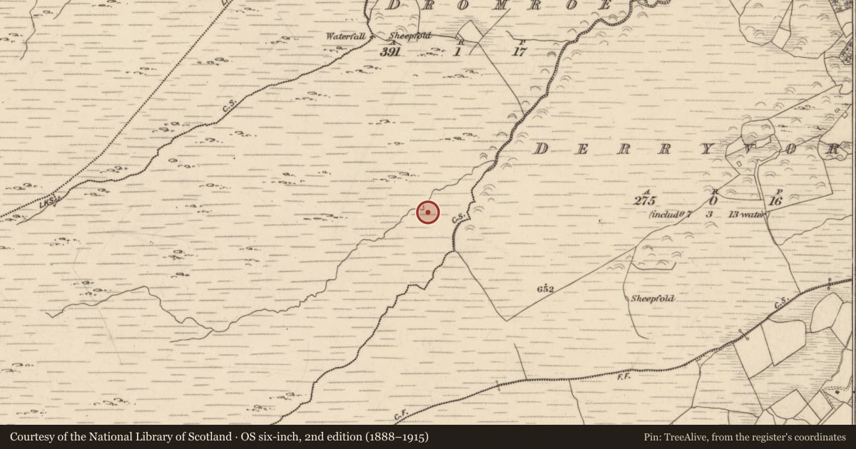 Ordnance Survey six-inch map, 2nd edition (1888–1915) covering the location of Field boundary, Dromroe, County Kerry, with a pin at the register's coordinates