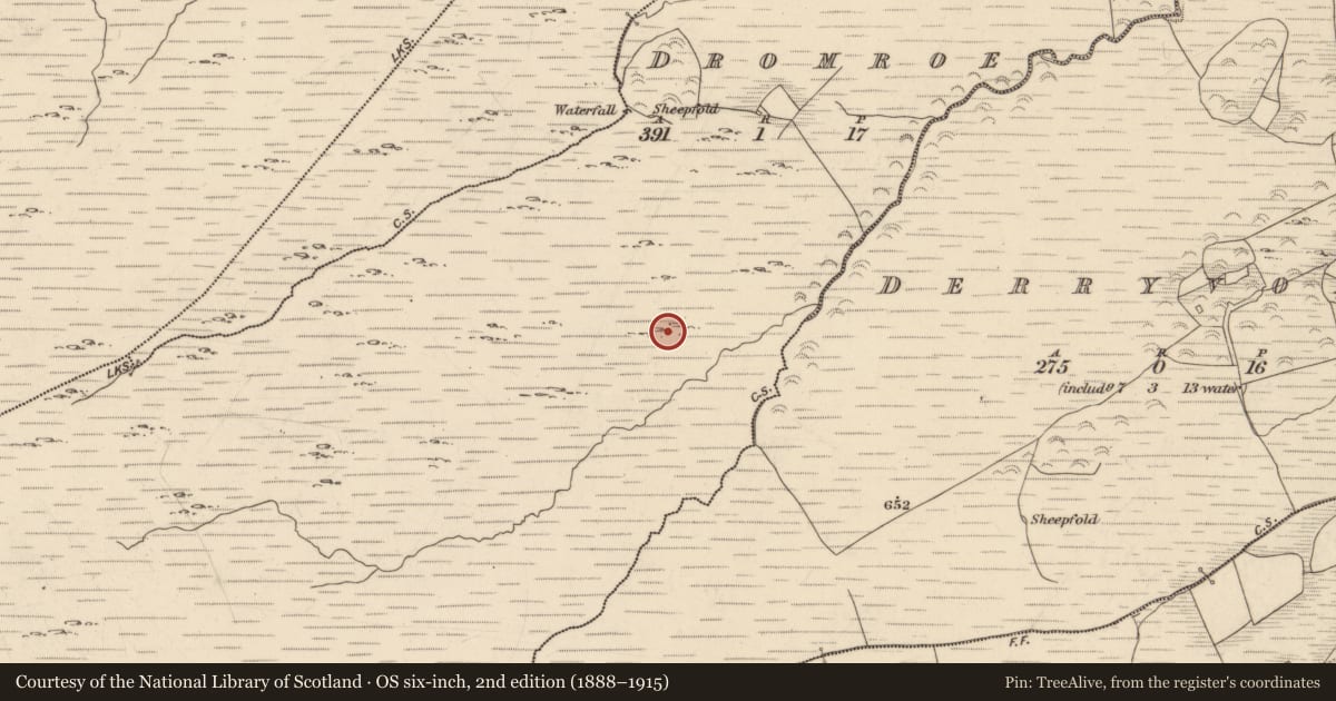 Ordnance Survey six-inch map, 2nd edition (1888–1915) covering the location of Enclosure, Dromroe, County Kerry, with a pin at the register's coordinates
