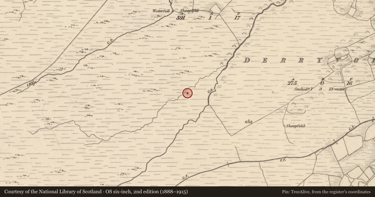 Ordnance Survey six-inch map, 2nd edition (1888–1915) covering the location of Hut site, Dromroe, County Kerry, with a pin at the register's coordinates