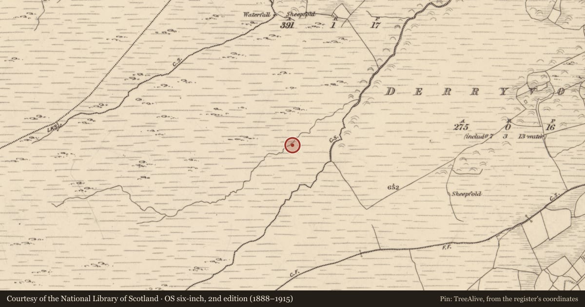 Ordnance Survey six-inch map, 2nd edition (1888–1915) covering the location of Hut site, Dromroe, County Kerry, with a pin at the register's coordinates