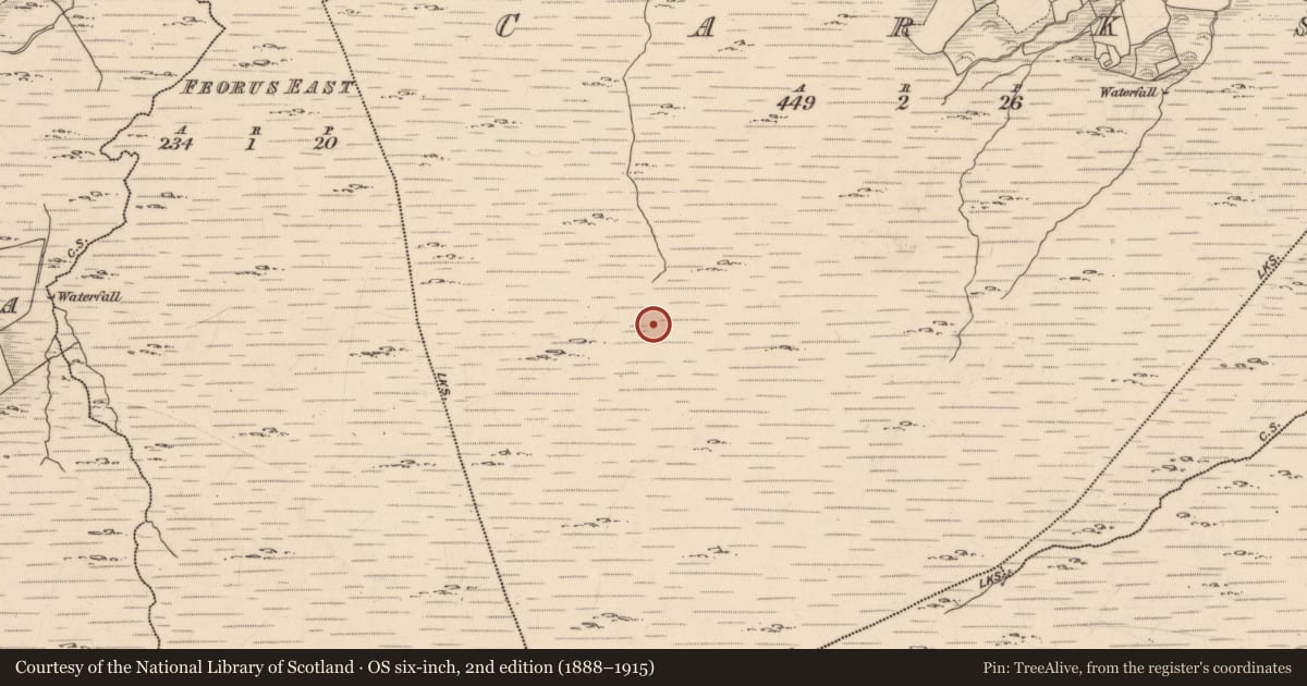 Ordnance Survey six-inch map, 2nd edition (1888–1915) covering the location of Enclosure, Carks, County Kerry, with a pin at the register's coordinates