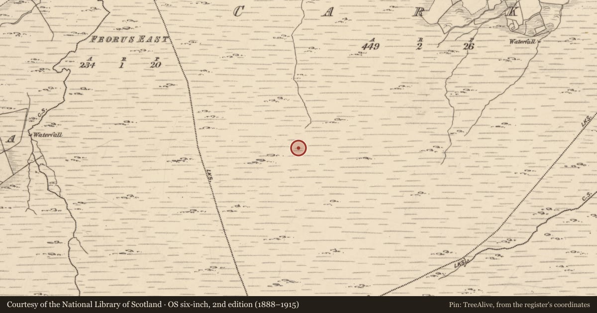 Ordnance Survey six-inch map, 2nd edition (1888–1915) covering the location of Enclosure, Carks, County Kerry, with a pin at the register's coordinates