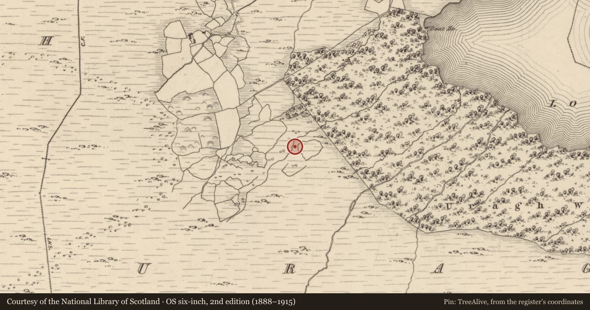 Ordnance Survey six-inch map, 2nd edition (1888–1915) covering the location of Fulacht fia, Uragh, County Kerry, with a pin at the register's coordinates