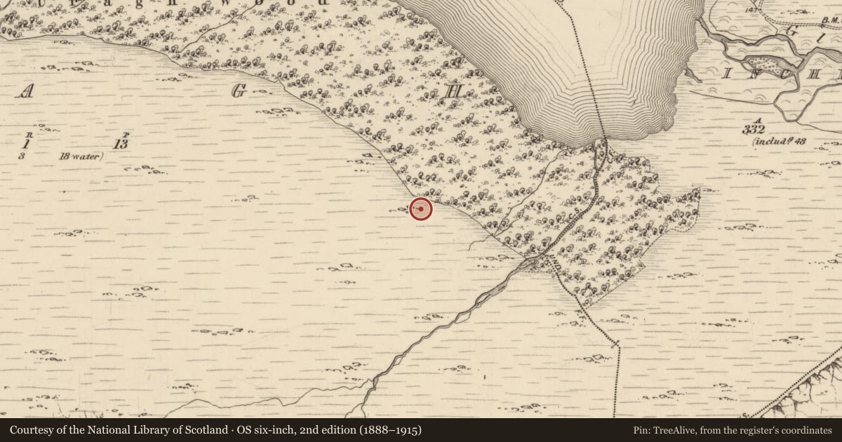 Ordnance Survey six-inch map, 2nd edition (1888–1915) covering the location of Hut site, Uragh, County Kerry, with a pin at the register's coordinates
