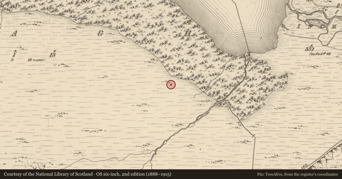 Ordnance Survey six-inch map, 2nd edition (1888–1915) covering the location of Enclosure, Uragh, County Kerry, with a pin at the register's coordinates
