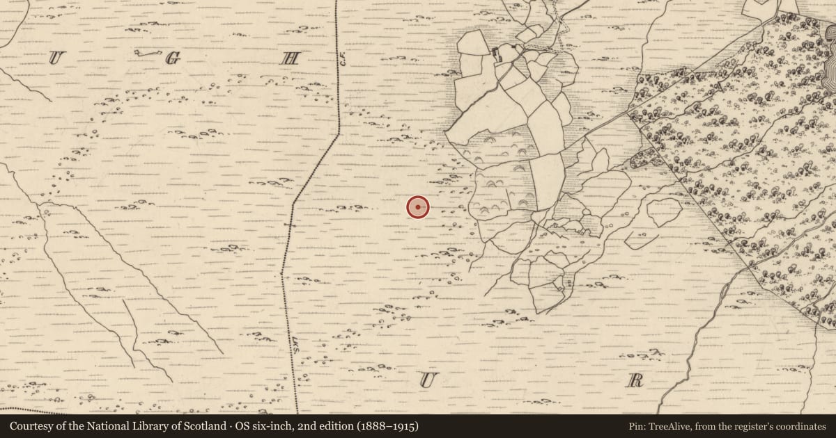 Ordnance Survey six-inch map, 2nd edition (1888–1915) covering the location of Field boundary, Uragh, County Kerry, with a pin at the register's coordinates
