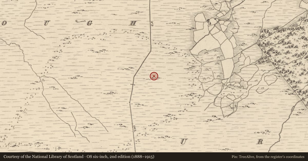 Ordnance Survey six-inch map, 2nd edition (1888–1915) covering the location of Field boundary, Uragh, County Kerry, with a pin at the register's coordinates