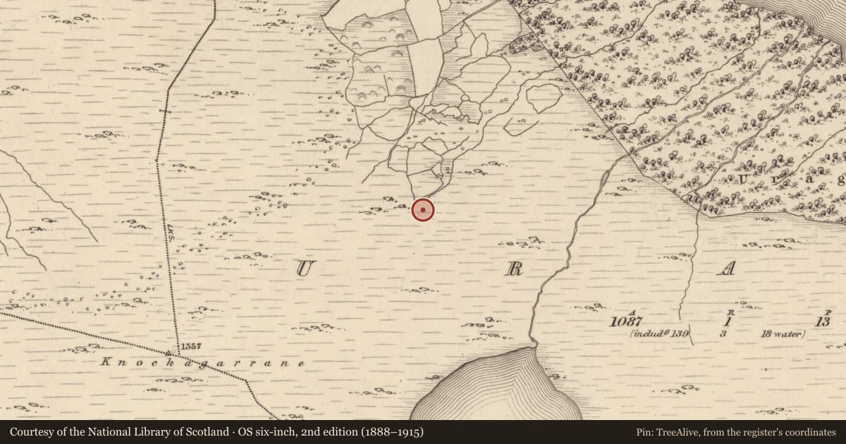 Ordnance Survey six-inch map, 2nd edition (1888–1915) covering the location of Field boundary, Uragh, County Kerry, with a pin at the register's coordinates