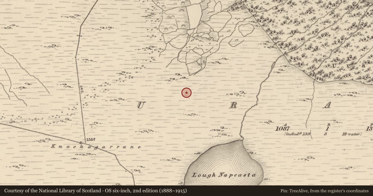 Ordnance Survey six-inch map, 2nd edition (1888–1915) covering the location of Cairn - unclassified, Uragh, County Kerry, with a pin at the register's coordinates