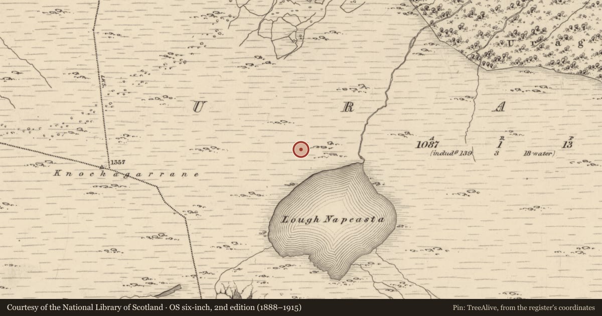 Ordnance Survey six-inch map, 2nd edition (1888–1915) covering the location of Field boundary, Uragh, County Kerry, with a pin at the register's coordinates