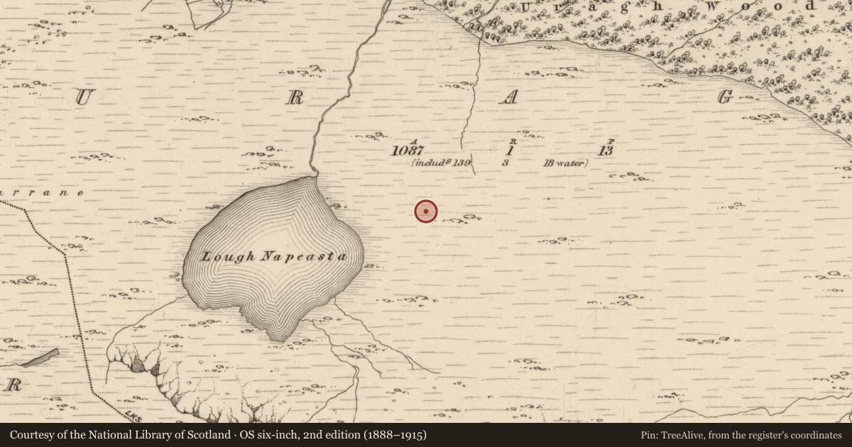 Ordnance Survey six-inch map, 2nd edition (1888–1915) covering the location of Cairn - unclassified, Uragh, County Kerry, with a pin at the register's coordinates