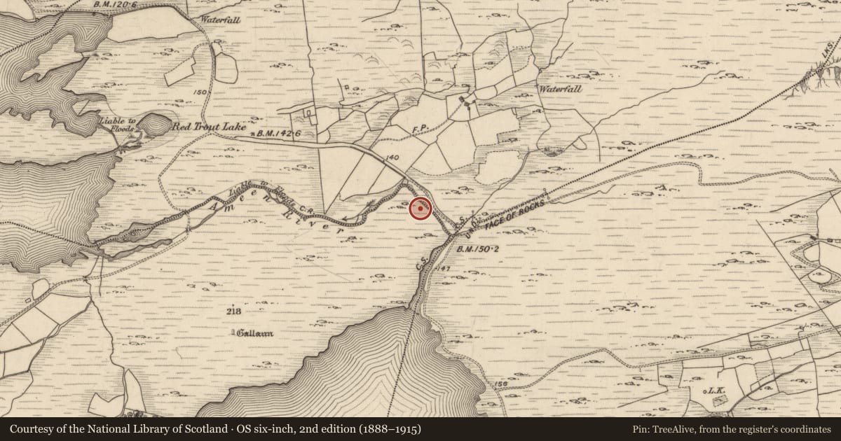 Ordnance Survey six-inch map, 2nd edition (1888–1915) covering the location of Stone circle, Uragh, County Kerry, with a pin at the register's coordinates