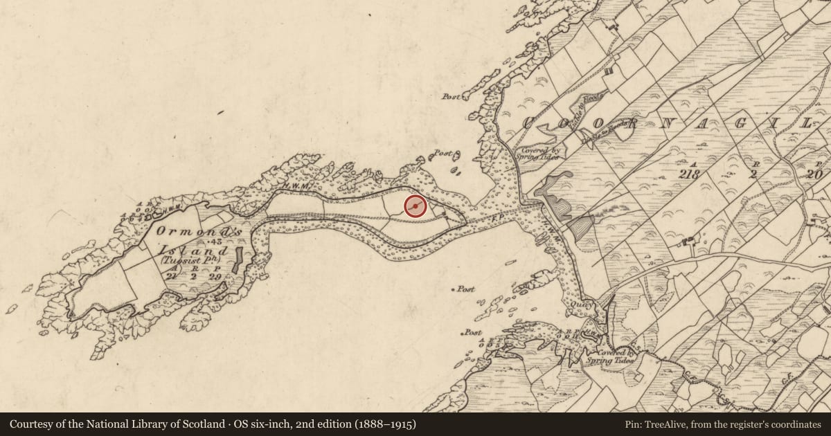 Ordnance Survey six-inch map, 2nd edition (1888–1915) covering the location of Standing stone, Coornagillagh, County Kerry, with a pin at the register's coordinates