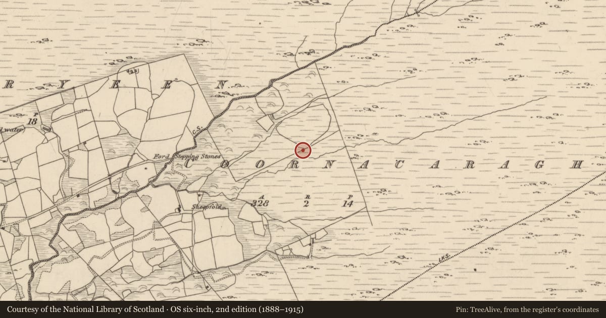 Ordnance Survey six-inch map, 2nd edition (1888–1915) covering the location of Fulacht fia, Coornacaragh, County Kerry, with a pin at the register's coordinates