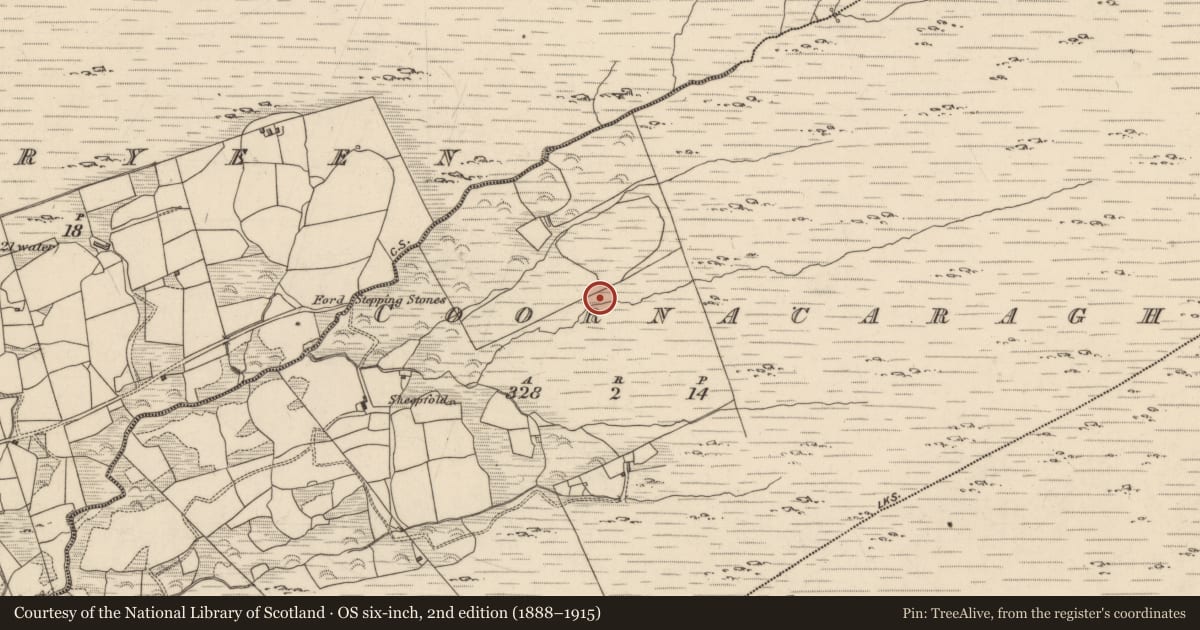 Ordnance Survey six-inch map, 2nd edition (1888–1915) covering the location of Fulacht fia, Coornacaragh, County Kerry, with a pin at the register's coordinates