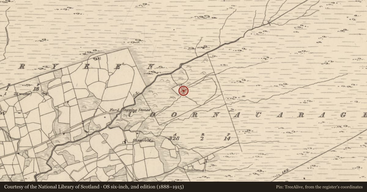 Ordnance Survey six-inch map, 2nd edition (1888–1915) covering the location of Hut site, Coornacaragh, County Kerry, with a pin at the register's coordinates
