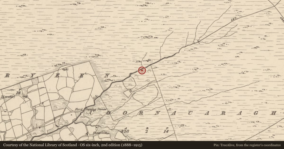 Ordnance Survey six-inch map, 2nd edition (1888–1915) covering the location of Enclosure, Coornacaragh, County Kerry, with a pin at the register's coordinates