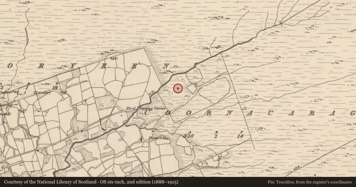 Ordnance Survey six-inch map, 2nd edition (1888–1915) covering the location of Field boundary, Coornacaragh, County Kerry, with a pin at the register's coordinates