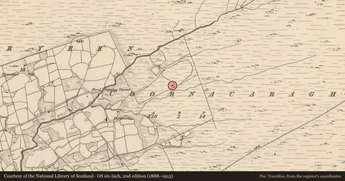 Ordnance Survey six-inch map, 2nd edition (1888–1915) covering the location of Burnt spread, Coornacaragh, County Kerry, with a pin at the register's coordinates