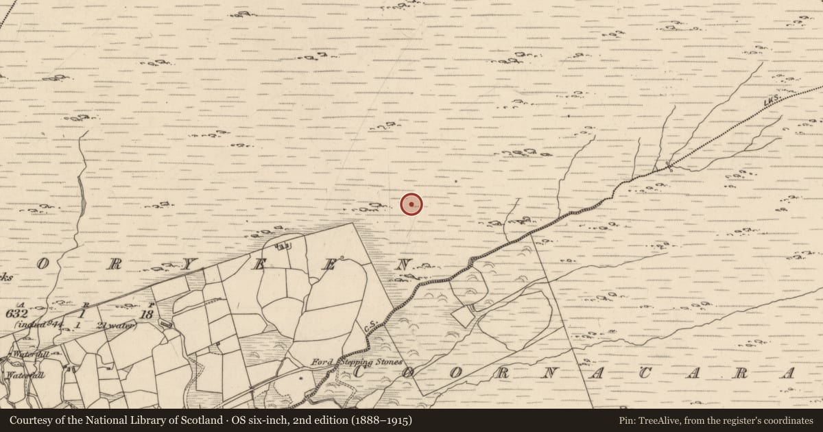 Ordnance Survey six-inch map, 2nd edition (1888–1915) covering the location of Field boundary, Cooryeen, County Kerry, with a pin at the register's coordinates