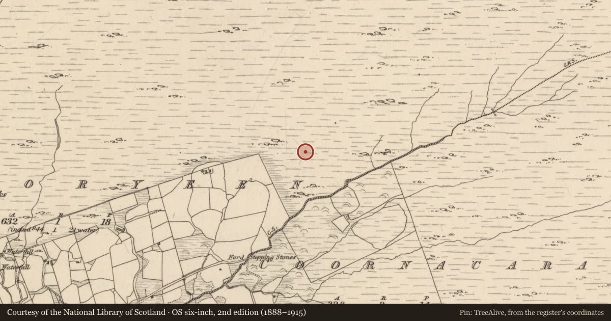 Ordnance Survey six-inch map, 2nd edition (1888–1915) covering the location of Hut site, Cooryeen, County Kerry, with a pin at the register's coordinates