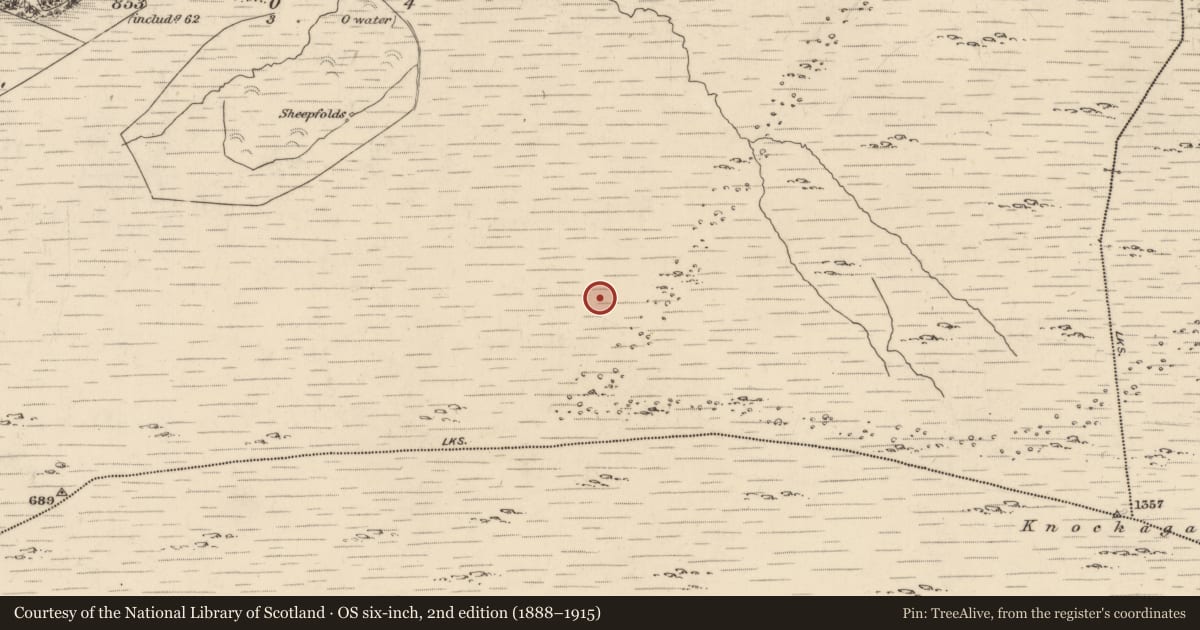Ordnance Survey six-inch map, 2nd edition (1888–1915) covering the location of Field boundary, Derrylough, County Kerry, with a pin at the register's coordinates