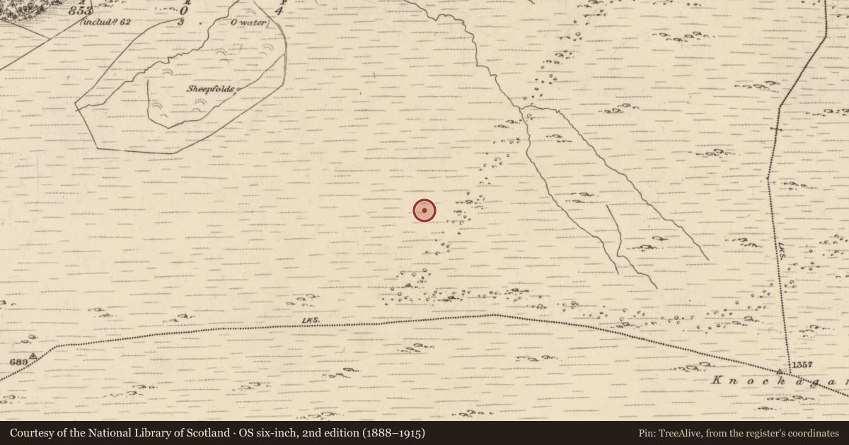 Ordnance Survey six-inch map, 2nd edition (1888–1915) covering the location of Hut site, Derrylough, County Kerry, with a pin at the register's coordinates