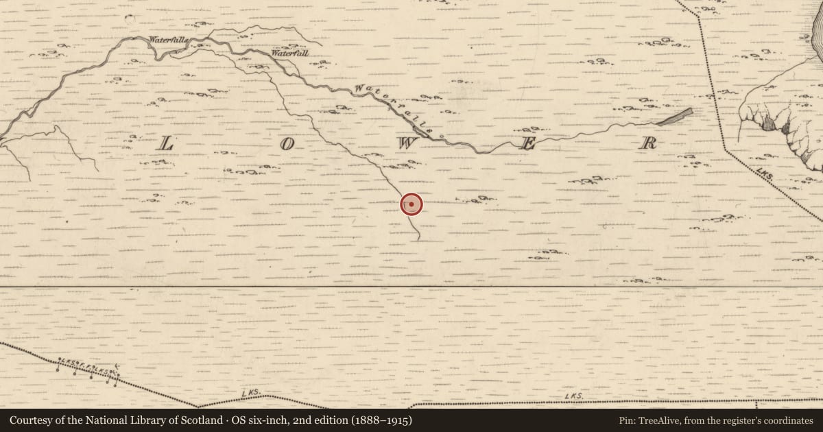 Ordnance Survey six-inch map, 2nd edition (1888–1915) covering the location of Fulacht fia, Drombohilly Lower, County Kerry, with a pin at the register's coordinates