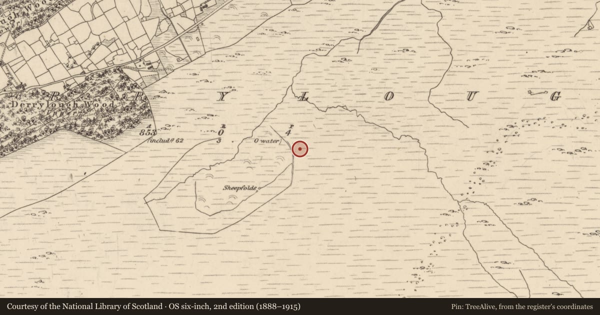 Ordnance Survey six-inch map, 2nd edition (1888–1915) covering the location of Fulacht fia, Derrylough, County Kerry, with a pin at the register's coordinates