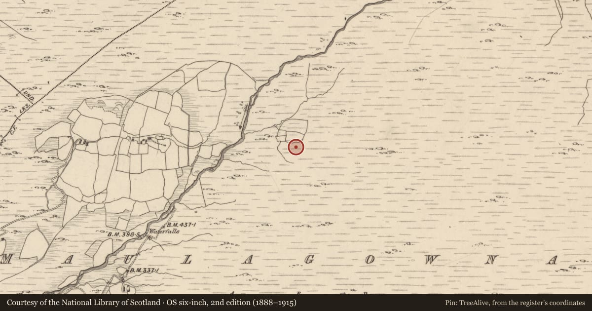 Ordnance Survey six-inch map, 2nd edition (1888–1915) covering the location of Field boundary, Maulagowna, County Kerry, with a pin at the register's coordinates